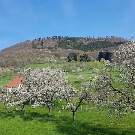 Dom wakacyjny Le Breit Maison De Charme Avec Sa Dependance Breitenbach