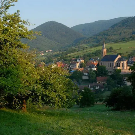 Le Breit Maison De Charme Avec Sa Dependance * Breitenbach